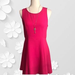 Dina Be pink dress medium fit and flare